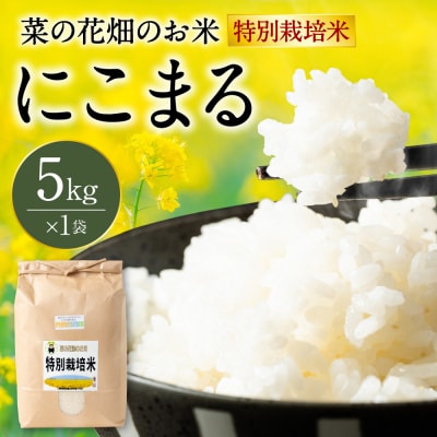 【令和7年産】 菜の花畑のお米 「特別栽培米」 5kg (5kg×1袋)_134-6736