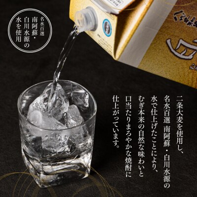八代不知火蔵 白水 麦焼酎 1.8L 3本 25度 紙パック 麦 むぎ焼酎_040-5925-A
