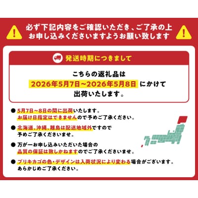 【先行予約】【2026年5月7日～8日発送】ポットカーネーション 赤 5号鉢_145-5203-B