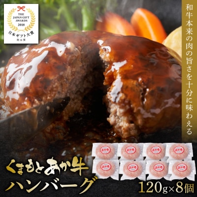 あか牛ハンバーグ 120g×8個入り_153-4983-B