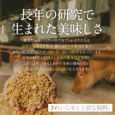 【GI認証】くまもとあか牛シンシンブロック 300g×2枚_153-4988-A