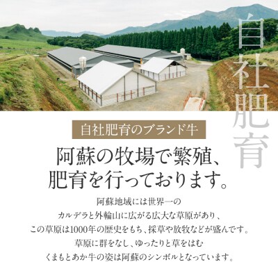 【GI認証】くまもとあか牛三角バラステーキ 120g×4枚_153-4989-B
