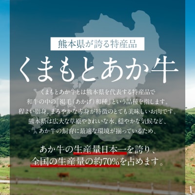 【GI認証】くまもとあか牛トモサンカク 120g×4枚 牛肉 あか牛 ステーキ_153-4996