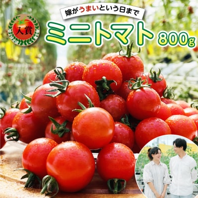 先行予約 嫁がうまいと言う日まで 800g 2026年12月上旬より発送_160-4269-E