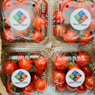 嫁がうまいと言う日まで ミニトマト 800g 八代市産 ミニトマト_160-4269-D