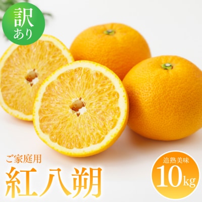 【先行予約】訳あり 紅八朔 家庭用 約10kg【2027年2月上旬より順次発送】171-5268-B