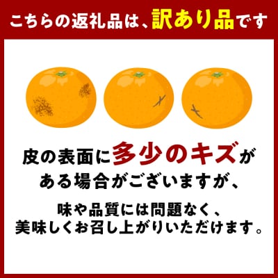 【先行予約】訳あり 紅八朔 家庭用 約10kg【2027年2月上旬より順次発送】171-5268-B