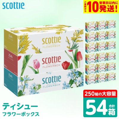 ティッシュ 250組 54箱 フラワーボックス 日用品 スコッティ_186-6353