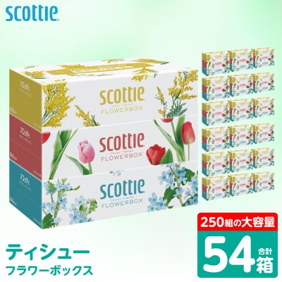 ティッシュ 250組 54箱 フラワーボックス 日用品 スコッティ_186-6353-B