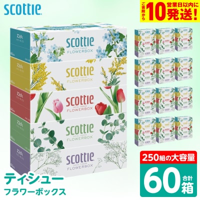 【スコッティ】 ティシュー フラワーボックス 250組 60箱_186-6354