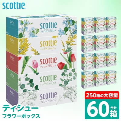 ティッシュ 250組 60箱  フラワーボックス 日用品 スコッティ_186-6354-B