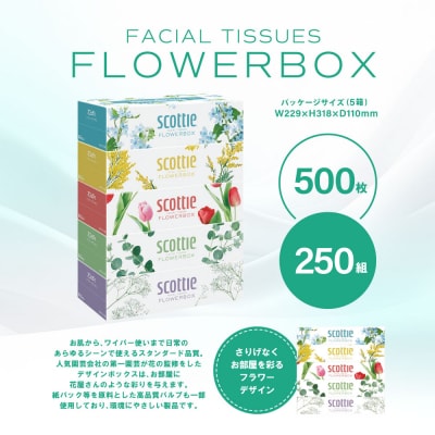 ティッシュ 250組 60箱  フラワーボックス 日用品 スコッティ_186-6354