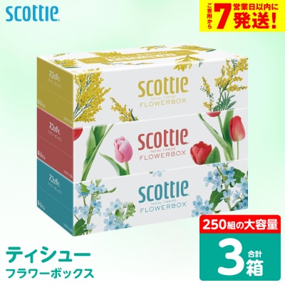 ＼スピード発送/【スコッティ】 ティシュー フラワーボックス 250組 3箱_186-6422