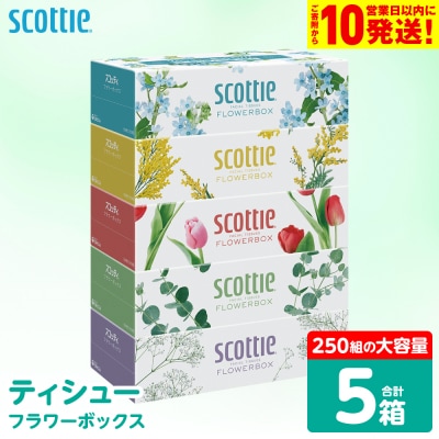 ティッシュ 250組 5箱  フラワーボックス  日用品 スコッティ_186-6423