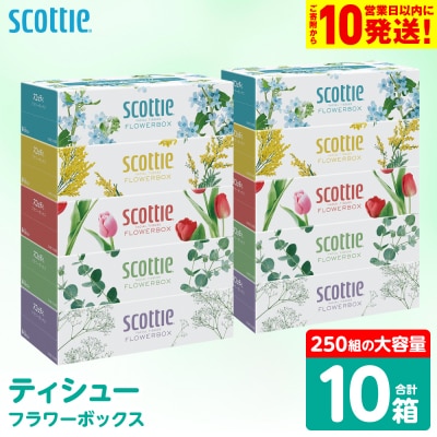 【スコッティ】 ティシュー フラワーボックス 250組 10箱_186-6424