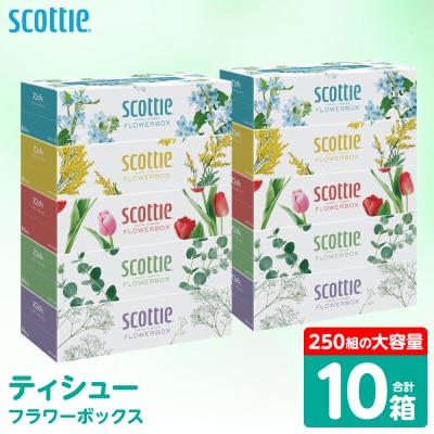 ティッシュ 250組 10箱 フラワーボックス  日用品 スコッティ_186-6424