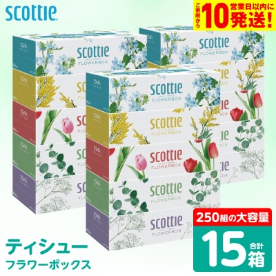 【スコッティ】 ティシュー フラワーボックス 250組 15箱_186-6425