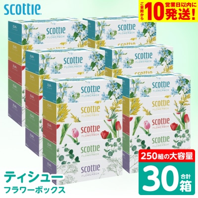 ティッシュ 250組 30箱 フラワーボックス  日用品 スコッティ_186-6427