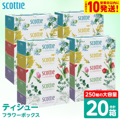 【スコッティ】 ティシュー フラワーボックス 250組 20箱_186-6426