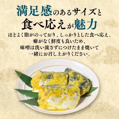 厚切り 本さわらの味噌漬け 約1kg さわら_045-6686