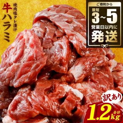 <最短3-5営業日以内に発送>【訳あり】牛ハラミ 焼肉 (軟化加工)1.2kg_233-6028-A