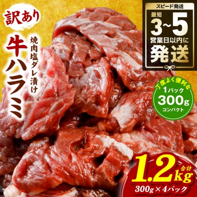 訳あり 牛ハラミ焼肉 1.2kg(300g×4P)_233-6028-A
