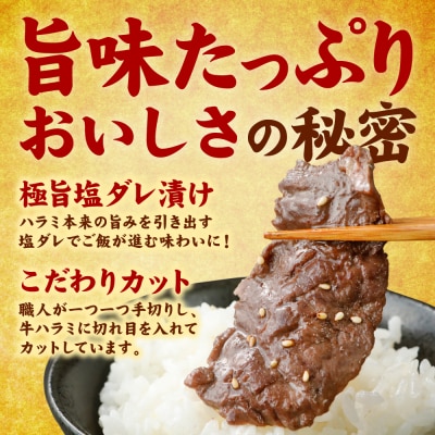 訳あり 牛ハラミ焼肉 1.2kg(300g×4P)_233-6028-A