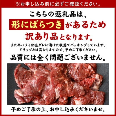 訳あり 牛ハラミ焼肉 1.2kg(300g×4P)_233-6028-A