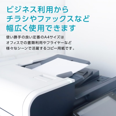 日本製紙 上質PPC-W A4コピー用紙 1000枚(500枚×2パック)_186-6470