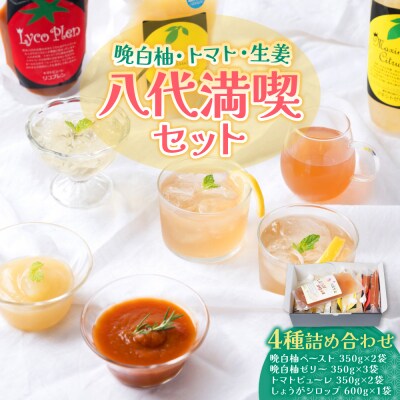 晩白柚ペースト・晩白柚ゼリー・トマトピューレ・しょうがシロップ 八代満喫セット_189-5988-B