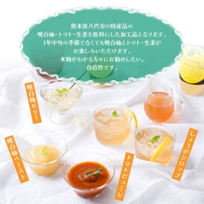 晩白柚ペースト・晩白柚ゼリー・トマトピューレ・しょうがシロップ 八代満喫セット_189-5988-B
