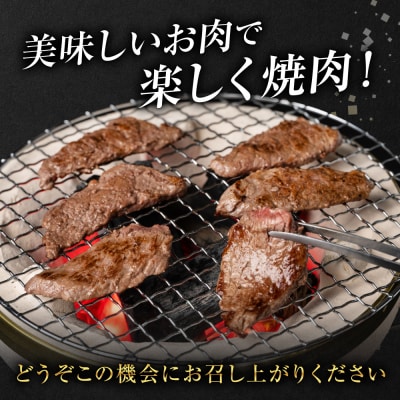 【GI認証】 くまもとあか牛 焼肉用 500g_204-6362-A