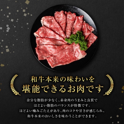 【GI認証】 くまもとあか牛 すき焼き用 500g_204-6364-A