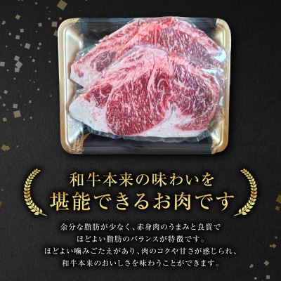 GI認証 くまもとあか牛 ロースステーキ 約500g 和牛 ロース ステーキ 牛肉_204-6633