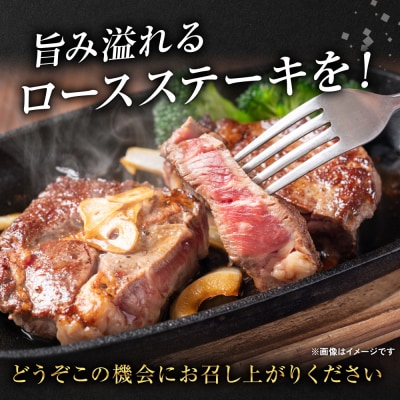 GI認証 くまもとあか牛 ロースステーキ 約500g 和牛 ロース ステーキ 牛肉_204-6633