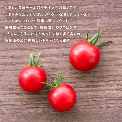 【甘みと酸味のバランス、旨みが絶妙な代表作】完熟収穫ミニトマト 約1.2kg_205-5223-A