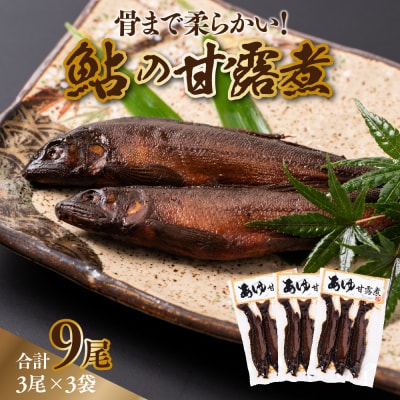 あゆ 甘露煮 3尾×3袋 鮎_206-4646-B