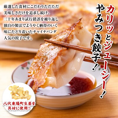 羽根つき冷凍生餃子1パック(28個入)　たれとラー油付_239-4365