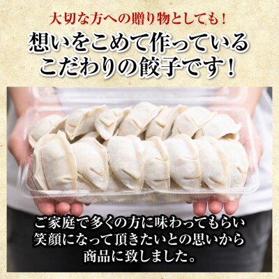 羽根つき冷凍生餃子2パック(56個入)　たれ2本とラー油付_239-4366