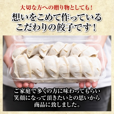 冷凍生餃子3パック(84個入)　たれ3本とラー油付_239-4370-B