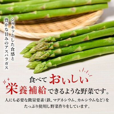 【先行予約】八代市産 アスパラガス 2kg【2026年4月上旬より順次発送】_247-5983-B
