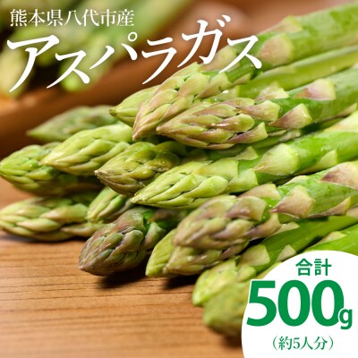 八代市産 アスパラガス 500g_247-5981