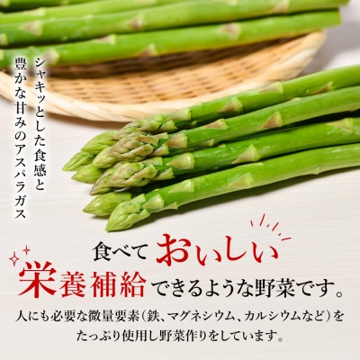 八代市産 アスパラガス 500g_247-5981