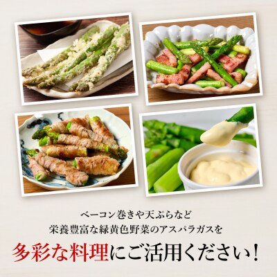 【先行予約】八代市産 アスパラガス 500g【2026年4月上旬より順次発送】_247-5981