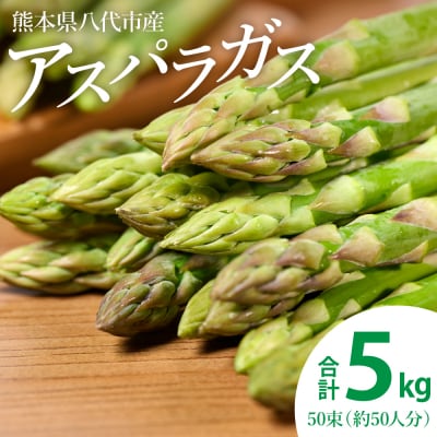 【先行予約】八代市産 アスパラガス 5kg【2026年4月上旬より順次発送】_247-5984-B