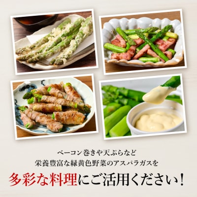【先行予約】八代市産 アスパラガス 5kg【2026年4月上旬より順次発送】_247-5984-B