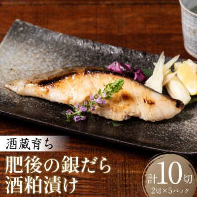酒蔵育ち 肥後の銀だら 酒粕漬け 2切入×5パック 合計10切_257-6071