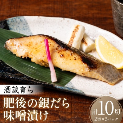 酒蔵育ち 肥後の銀だら 味噌漬け 2切入×5パック 合計10切_257-6074