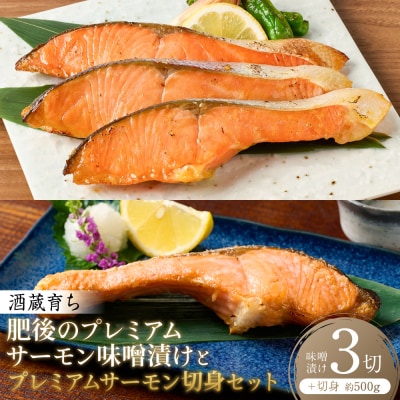 酒蔵育ち肥後のプレミアムサーモン味噌漬け3切×1プレミアムサーモン切身 約500g_257-6773