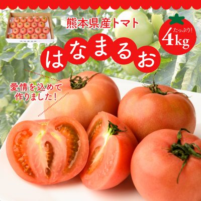 【先行予約】トマト はなまるお 4kg【2026年11月中旬より順次発送】_214-3181-F